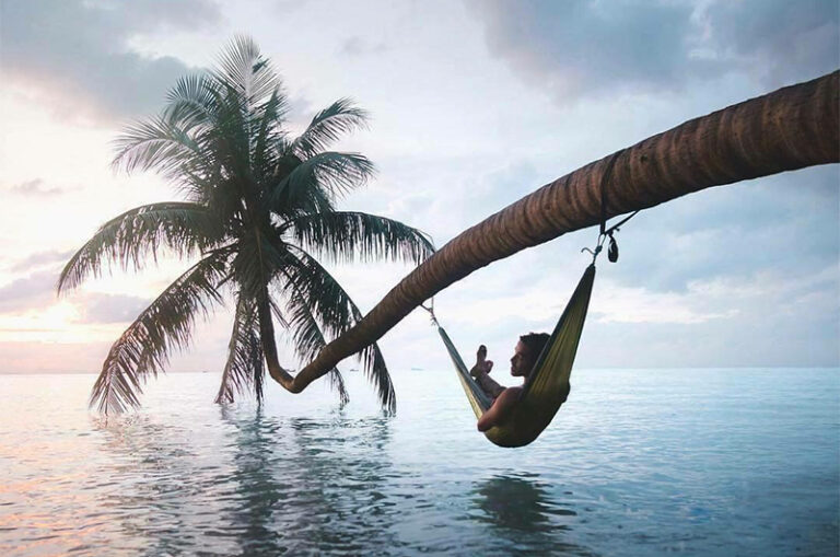 Individual-Holiday-2